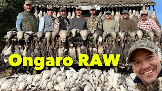 Claudio Ongaro RAW & Unhinged | Hired to Hunt in Alberta | Duck and Goose Hunting @Cabela-s