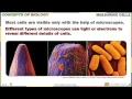 Chapter 3 Cell Structure and Function - Part 1