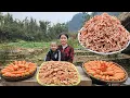Lagu Harvesting Carrots and Making Traditional Carrot Jam Cake to Sell at the Market | Trieu Thi Thuy.