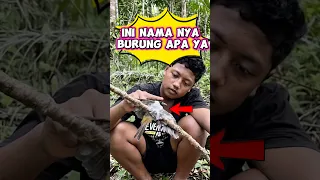 Ini nama nya burung apa #wakmi #burung #videolucu #comedy #funny #lucu