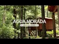Agua Morada El Hotel Boutique oculto en Hidalgo