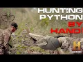 SNAKE ON Kyle Jeff Catch Their First Burmese Python By HAND In The Everglades - Green Way Clips