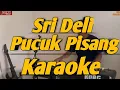Download Lagu Sri Deli \u0026 Pucuk Pisang Karaoke  2 Dimensi Versi Korg Pa600
