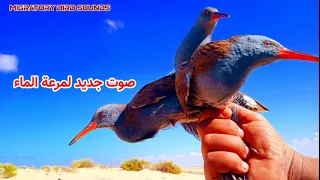 صوت جديد لمرعة الماء  ملوح  تشغيل من المغرب وحتى منتصف الليل  بدون ماء أيضا  دندنها