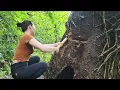 Secret Shelter Inside a Giant Root | Outdoor Survival & Grilled Pork Cooking