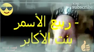 جديد ربيع الأسمر بنت الاكابر نحنا جماعة دراويش 