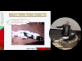 The Linear Model Regression Part I