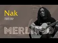 Download Lagu IWAN FALS - NAK | Akustik Cover oleh Merlisto