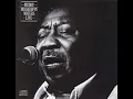 Muddy Waters - Deep Down in Florida