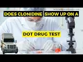 Does Clonidine Show up on a DOT Drug Test Educate Your Self Before Taking DOT Medical
