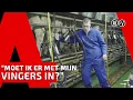 Download Lagu STIJN // BOER VOOR ÉÉN DAG