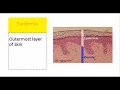 Lesson 7 Medical Terminology