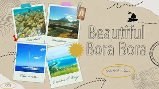 Is this the Most Beautiful Island in the World? Ep 173