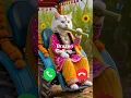 Download Lagu Brazen calling 🤙🏻✨ #ringtone #youtube #cat #foryou #cutecat #calling #youtubeshorts #trending #viral