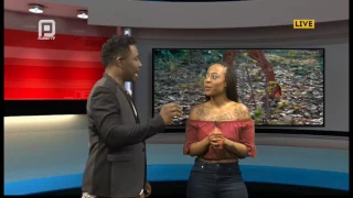 planet tv interview with terry treasure