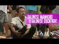 Download Lagu BALINESE MANHOOD and the cockfight