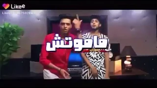 حالات واتس اب ماموتش انا ايوه ماموتش  قلبك بحر مالح   دندنها