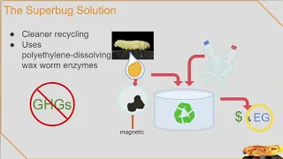 Superbug Recycling Nanovation 2020 