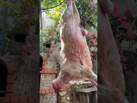 عيدكم مبارك 🥳 تقبل الله منا ومنكم صالح الأعمال #عيد #shorts #youtubeshorts