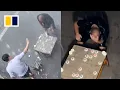 Download Lagu Chinese man loses in chess then analyses game for 4 hours in rain