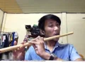 Download Lagu hương sầu riêng muộn- dương hồng loan (sáo trúc)