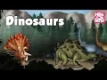 DINOSAURS The Dr Binocs Show Best Learning Compilation for Kids By Peekaboo Kids