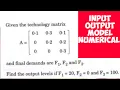 input output Model Numerical