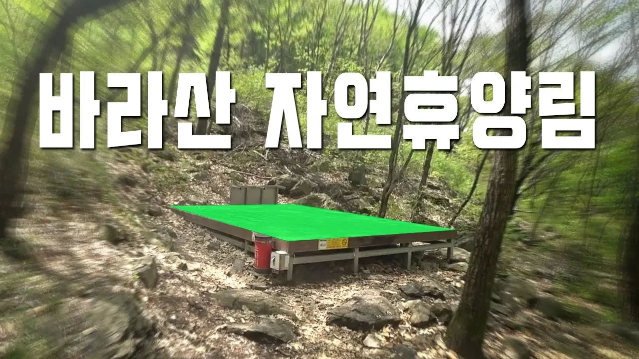 [야리남] 여기 명당은 이름값 하네 │ 그러나 엄청나게 치명적인 단점  │ 바라산 자연휴양림 캠핑장 야영장 리뷰 썸네일