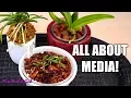 All about Orchid media - Bark moss LECA more Simple guide for beginners