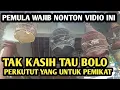 Download Lagu Pawang pikat perkutut kasih tau burung yang di jadikan pemikat 