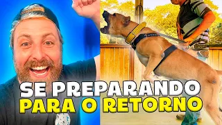 Se preparando para o Retorno do Bruno 🙏🏻