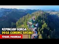 Download Lagu DESA KEPINGAN SURGA !! SUASANA DESA SUKU TENGGER BROMO - Cerita Desa Bromo, Jawa Timur