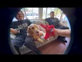 CHICO "Blur" (Official Music Video)
