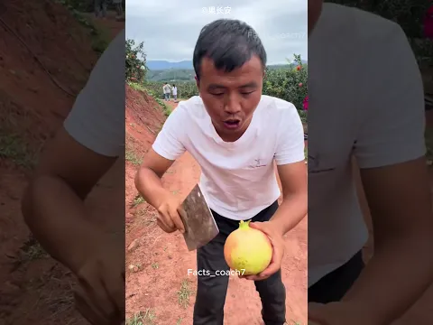 Most Beautiful Way to Cut Fruit 🍎