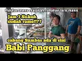Download Lagu Tak Disangka, Warung BABI Panggang ini ramai dari jam 3 subuh!! +Puluhan  masakan siap saji enak!!