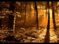 Download Lagu Mawla Ya Salli Wa Sallim~ Ahbab al Mustafa(arabic \u0026 english phrases)