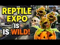 Amazing Reptiles at Slidell Expo 2020