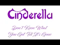 Download Lagu Cinderella - Don't Know What You Got 'Till It's Gone - Lyrics (Official Remaster)