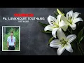 Download Lagu RIP