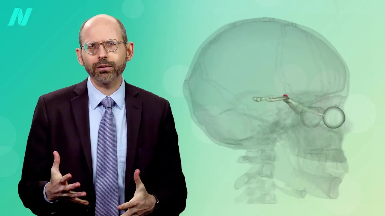 Syncing Circadian Clocks: Light vs. Meal Timing and Health