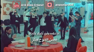 اغنية مسلسل الحفرة الحلقة 28 الموسم الرابع غصن الخوخ 