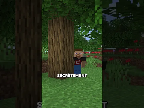 Le RETOUR des FARLANDS dans Minecraft ? 😱