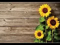 Download Lagu Oração Latina - O punhal e a rosa