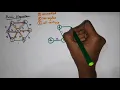 Prim s Algorithm Greedy s Algorithm