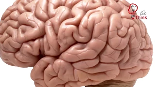 حقيقة الحاسة السابعة عن بعض البشر دندنها