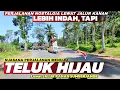 Download Lagu Jalur Lama ke Teluk Hijau Banyuwangi‼️Menyusuri Indahnya Jalur Kanan Menuju Teluk Hijau Banyuwangi..