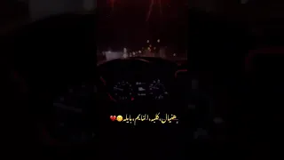 هنيال قلبة النايم بليلة حالات واتس اب عراقي حزين حالات واتس عراقي حزينة حزن  هنيال قلبة النايم بليلة حالات واتس اب عراقي حزين حالات واتس عراقي حزينة حزن