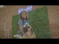Young Cleveland entrepreneur finds her niche in Fluff N Stuff pet services
