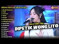 Download Lagu Difarina Indra Full Album || Dipetik Wong Liyo, Difarina Indra Full Album Terbaru 2024 - OM ADELLA