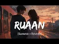 Lagu Ruaan (Slowed + Reverb) | Pritam, Arijit Singh | Tiger 3 | SR Lofi